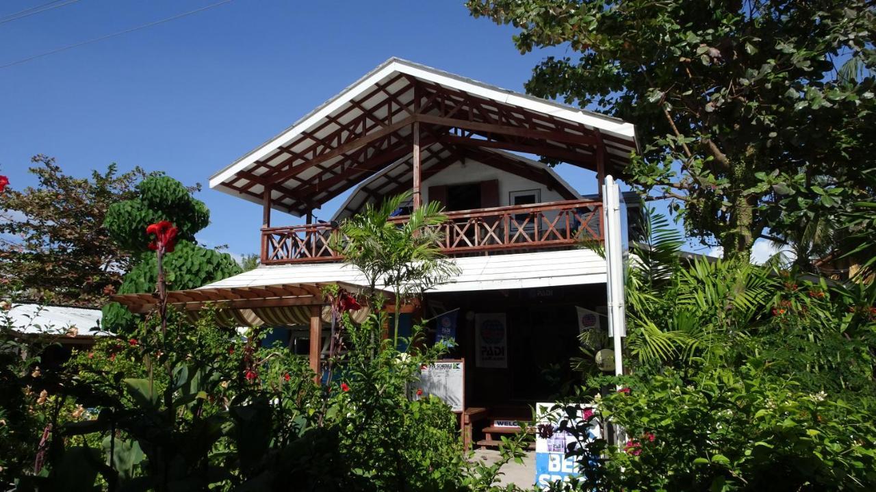 Threshershack Inn Isola di Malapascua Esterno foto
